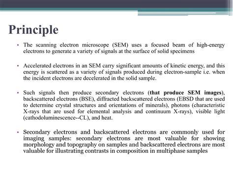 scanning electron microscope limitations|Advantages & Disadvantages of Scanning Electron .